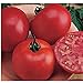 photo Burpee Big Boy Tomato Seeds (20+ Seeds) | Non GMO | Vegetable Fruit Herb Flower Seeds for Planting | Home Garden Greenhouse Pack
