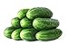photo 50 Straight Eight Cucumber Seeds - Heirloom Non-GMO USA Grown Vegetable Seeds for Planting - Pickling and Slicing Cucumber