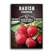 photo Survival Garden Seeds - Champion Radish Seed for Planting - Packet with Instructions to Plant and Grow Red Radishes in Your Home Vegetable Garden - Non-GMO Heirloom Variety