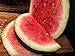 photo Bradford Watermelon Seed Packet Super Sweet Southern Heirloom