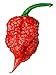 photo Carolina Reaper Seeds - 400 Carolina Reaper Seeds for Planting - Hottest Pepper Seeds - Hottest Chili Pepper in The World - Organic, Non - GMO Carolina Reaper Plant Seeds