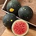 photo David's Garden Seeds Fruit Watermelon Moon & Stars 5547 (Red) 50 Non-GMO, Heirloom Seeds