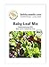 foto BIO-Salatsamen Baby Leaf Pflücksalat Portion
