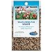 photo Partial Shade Wildflower Seeds Bulk - Open-Pollinated Wildflower Seed Mix Packet, No Fillers, Annual, Perennial Wildflower Seeds Year Round Planting - 1 oz