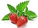 photo 100+ Strawberry Mint Herb Seeds Non-GMO Fragrant Rare! US Grown!