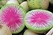 photo 100 Radis Melon d'eau des graines de radis très unique