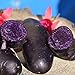 photo 00 graines de pommes de terre de chair violette à peau noire taux de germination élevé facile à faire pousser pour manipuler les plantes potagères savoureuses de jardin pour l'agriculture do Gra