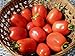 photo 75+ Roma VFN- Heirloom Tomato Seeds