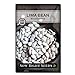 photo Sow Right Seeds - Henderson Lima Bean Seed for Planting - Non-GMO Heirloom Packet with Instructions to Plant a Home Vegetable Garden