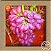 foto Neue Samen 2016!100 Samen/Beutel 12 Arten von Traubenkernen Advanced Fruit Seed Natural Growth Trauben Sweet Kyoho Gardening