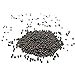 foto Gemüse Samen50Pcs/Bag Kräutersamen essbare leicht zu pflanzen schnell wachsende Bonsai Garten Pfeffer Samen für Balkon - schwarze Pfeffer Samen