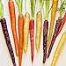foto Gemüsesamensorten - 800Pcs nahrhafte gemischte Regenbogen Karottensamen Einfach wachsen Gemüse Garten Pflanze Kinder Anfänger Gärtner Geschenk -1 #