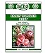 photo Early Wonder Beet Seeds - 100 Seeds Non-GMO