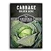 photo Survival Garden Seeds - Golden Acres Green Cabbage Seed for Planting - Packet with Instructions to Plant and Grow Yellow-White Cabbages in Your Home Vegetable Garden - Non-GMO Heirloom Variety