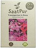 SaatPur Sommerblumenmischung Traumgarten in Rosa Samen Saatgut Blumenmischung Mix foto / 3,99 €