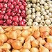 photo Red,Yellow,White or Mix Onion Sets (40 bulbs) Garden Vegetable(Red)