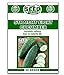 photo Straight Eight Cucumber Seeds - 50 Seeds Non-GMO