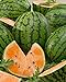 photo David's Garden Seeds Fruit Watermelon Tendersweet Orange 1342 (Orange) 50 Non-GMO, Heirloom Seeds