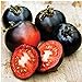 photo Indigo Rose Tomato Seeds (20+ Seeds) | Non GMO | Vegetable Fruit Herb Flower Seeds for Planting | Home Garden Greenhouse Pack