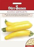 Dürr Samen Zucchini Gold Rush F1, gelbe Früchte foto / 3,67 €