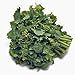photo Broccoli Raab Seeds, Rapini, Heirloom, Non GMO, 100 Seeds, Delicious a Culinary Delight