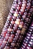 Amethyst Dream Purple Glass Gem Cherokee Indian Corn Heirloom Premium Seed Packet + More photo / $4.99