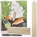 foto Holzschilder zum Beschriften: Premium Holz Pflanzenstecker im Set mit 60x Pflanzschilder und Stift – Schöne Pflanzenschilder zum Beschriften wetterfest – Holz Schilder zum Beschriften von OwnGrown