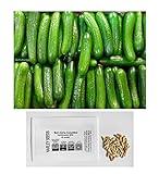 US Grown! 30+ Persian Beit Alpha (a.k.a. Lebanese) Cucumber Seeds Heirloom Non-GMO Burpless Sweet Non-Bitter and Acid Free, Crispy and Sweet, Fragrant and Delicious, Cucumis sativus, Grown in USA! photo / $2.69