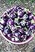 photo 25 Seeds / Purple Eggplant (Baby Eggplants)