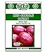 photo Red Creole Onion Seeds - 300 Seeds