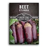 Survival Garden Seeds - Cylindra Beet Seed for Planting - Packet with Instructions to Plant and Grow Dark Red Beets in Your Home Vegetable Garden - Non-GMO Heirloom Variety photo / $4.99
