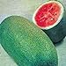 photo Watermelon, Charleston Grey, Heirloom,100 Seeds, Large