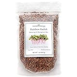 Rainbow Radish Sprouting Seeds Mix | Heirloom Non-GMO Seeds for Sprouting & Microgreens | Contains Red Arrow, Purple Triton & White Daikon Radish Seeds 1 lb Resealable Bag | Rainbow Heirloom Seed Co. photo / $17.99