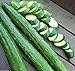 photo Japanese Long Burpless Cucumber Seeds - Sooyow Nishiki Green Non-GMO (25 - Seeds)