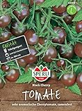 83303 Sperli Premium Tomaten Samen Black Cherry | Cherrytomate | Schwarze Tomaten | Cherry Tomaten | Schwarze Tomaten Samen foto / 5,47 €