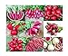 photo Please Read! This is A Mix!!! 100+ Radish Mix 9 Varieties Seeds, Heirloom Non-GMO, Colorful, Pink, Red, White, Sweet and Mild, from USA