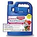 photo BioAdvanced 701262 All in One Rose and Flower Care Plant Fertilizer Insect Killer, and Fungicide, 64 Ounce, Concentrate