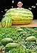 photo pinkdoseâ ® 2018 vente chaude Graines de Pastèque géant (250 + LBS), 1 boite professionnelle, 20 graines/boîte, Iwanaga Giant 'Graines de Melon cultivar japonais Rare