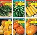 foto Frankonia-Samen/Samen-Sortiment / 3 Kürbissorten und 3 Zucchinisorten/Zucchini Black Beauty/Zuchini Partenon F1