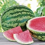 Triple Crown Hybrid Watermelon seed (Seedless) One the best-tasting red variety photo / $3.50