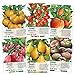 photo Multicolor Tomato Seed Packet Collection (6 Individual Packets) Non-GMO Seeds by Seed Needs