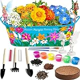 Little Planters Paint & Grow Fairy Garden with Real Flowers and Magical Fairies - Paint, Plant and Grow Morning Glory, Marigold and Alyssum Flowers - Craft Kit for Kids All Ages Both Girls and Boys photo / $24.99